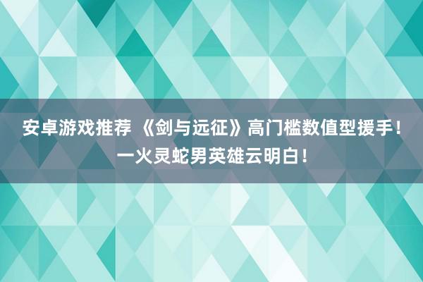 安卓游戏推荐 《剑与远征》高门槛数值型援手！一火灵蛇男英雄云明白！