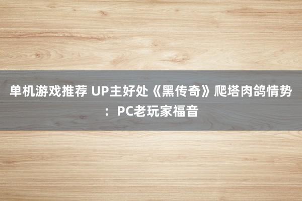 单机游戏推荐 UP主好处《黑传奇》爬塔肉鸽情势：PC老玩家福音