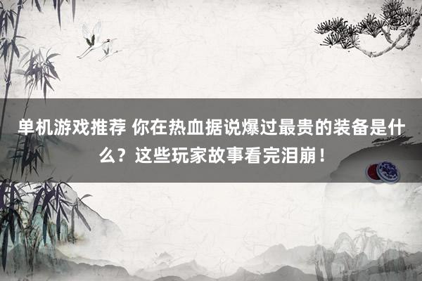 单机游戏推荐 你在热血据说爆过最贵的装备是什么？这些玩家故事看完泪崩！