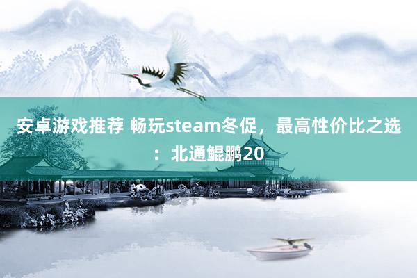 安卓游戏推荐 畅玩steam冬促，最高性价比之选：北通鲲鹏20